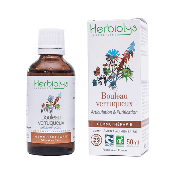 Bourgeons de Bouleau Verruqueux Bio - 50 ml