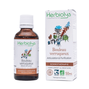 Bourgeons de Bouleau Verruqueux Bio - 50 ml