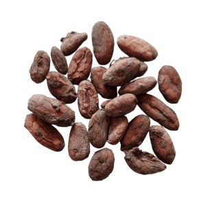 feves de cacao cru