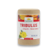 Tribulus Terrestris titré à 40% de Saponines