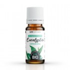 Huile essentielle Eucalyptus Citriodora Bio - 10 ml