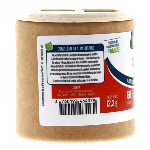 extrait curcuma poivre