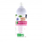 Thé vert, Guarana et Pissenlit Bio - 500 ml