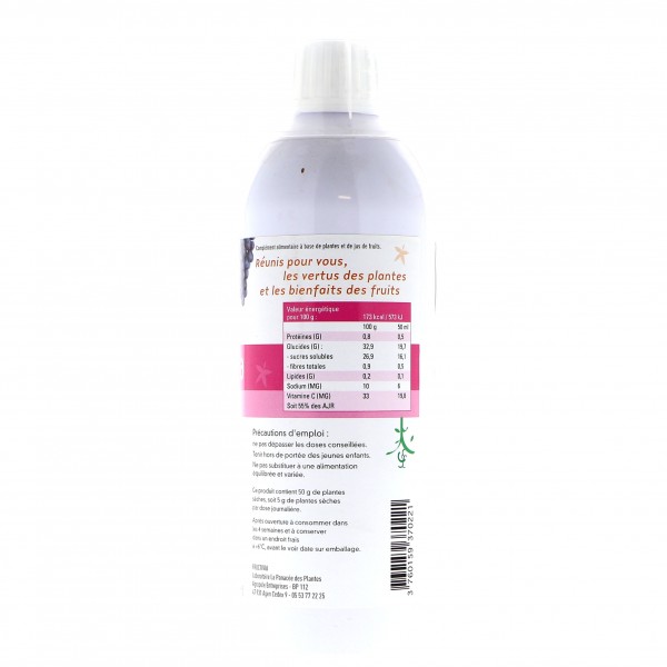 Thé vert, Guarana et Pissenlit Bio - 500 ml