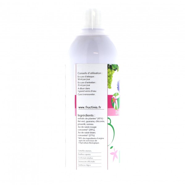 Thé vert, Guarana et Pissenlit Bio - 500 ml