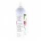 Thé vert, Guarana et Pissenlit Bio - 500 ml