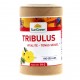 Tribulus Terrestris titré à 40% de Saponines