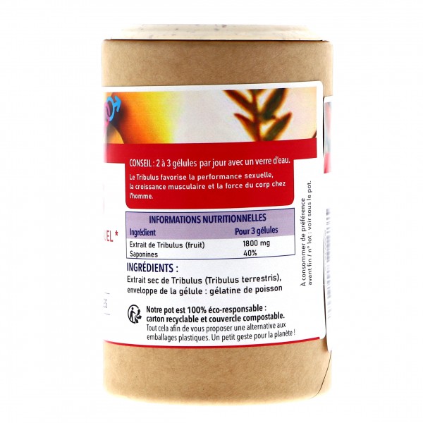 Tribulus Terrestris titré à 40% de Saponines