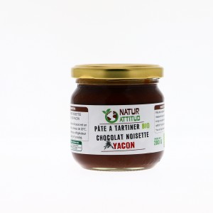 Pâte à Tartiner Chocolat Noisette Yacon Bio - 200g