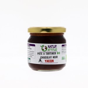 Pâte à Tartiner Chocolat Noir Yacon Bio - 200g