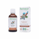 Bourgeons d'Eglantier Bio - 50 ml