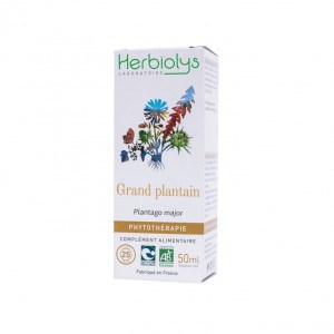 Grand Plantain Bio - 50 ml