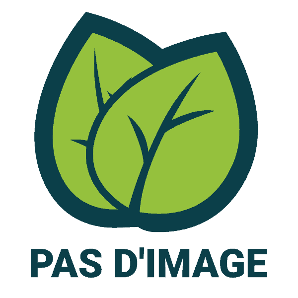 Pack cacao sans sucre : poudre de cacao cru bio 350 g et xylitol cristallisé bio 200 g
